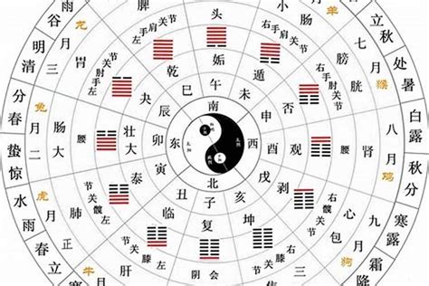 五行天干地支|天干地支（中国古代天文历法）